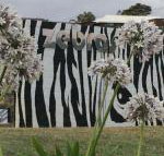 Zebras Guest House - Accommodation Melbourne