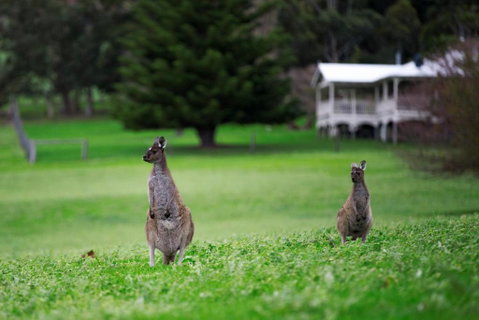 Barn Hives Yallingup - Accommodation Melbourne 4
