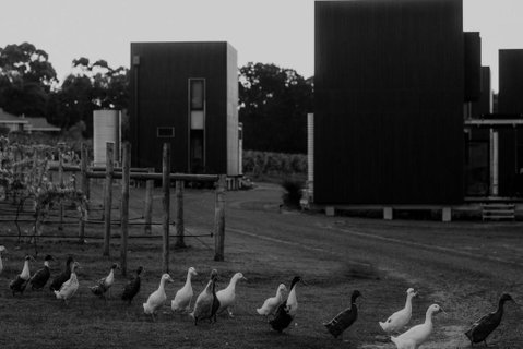 Barn Hives Yallingup - Accommodation Melbourne 1