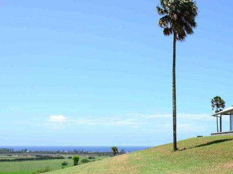 ROSE VALLEY Gerringong 4pm Check Out Sundays - Accommodation Melbourne 0
