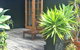 Writers Loft Erowal Bay 4pm Check Out Sundays - thumb 4