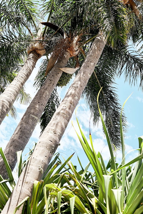 Brunswick Heads Chalet Motel - Accommodation Melbourne 5