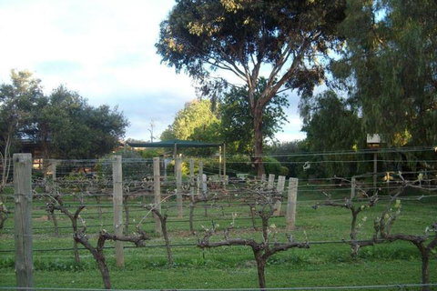 Southern Vales Bed & Breakfast - Accommodation Melbourne 7