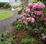 Anabels of Scottsdale - Accommodation Melbourne