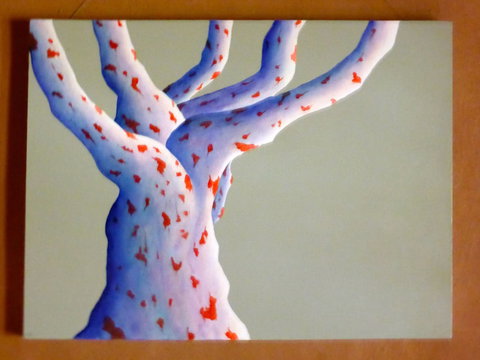 Wildwood Guesthouse - Accommodation Melbourne 4