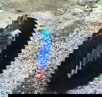 Licuala Lodge - Accommodation Melbourne