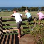 Beachend Bicheno - Accommodation Melbourne 0