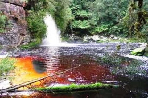 Aldermere Estate - Accommodation Melbourne 3
