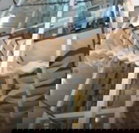 Platinum Suites Fremantle - Accommodation Melbourne