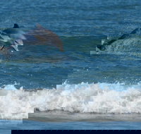 Summerhills Retreat Byron Bay - Accommodation Melbourne