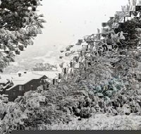 Alpenhorn - Accommodation Melbourne