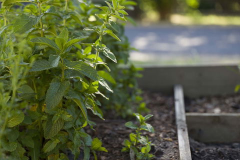 Grampians Eco YHA - Hostel - Accommodation Melbourne 0