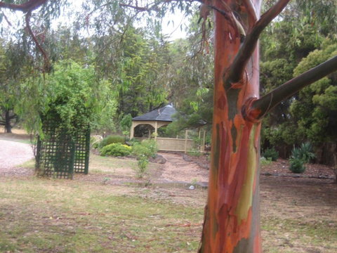 Golden Hills Motel - Accommodation Melbourne 6