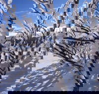 Ripparoo Ski Lodge - Accommodation Melbourne