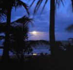 Sejala Beach Huts - Accommodation Melbourne