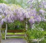 Amelina Cottages - Accommodation Melbourne