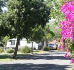 BIG 4 Hay - Accommodation Melbourne