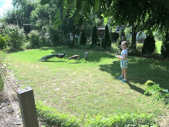 Windswept Country Retreat - Accommodation Melbourne 0