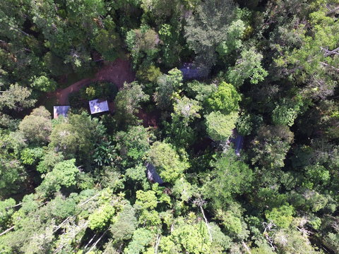 Crater Lakes Rainforest Cottages - Accommodation Melbourne 0