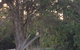 Huskisson Beach B&B - thumb 2