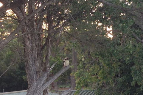 Huskisson Beach B&B - Accommodation Melbourne 2