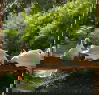 The Burrow At Wombat Bend - Accommodation Melbourne