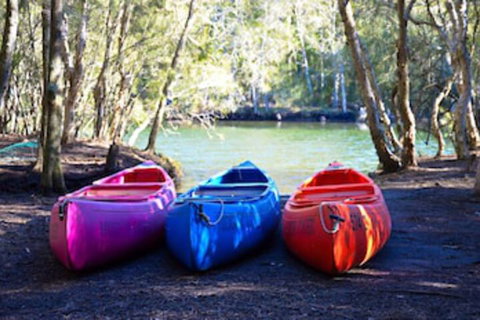Jervis Bay Cabins & Hidden Creek Campsite - Accommodation Melbourne 0