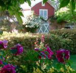 A Country Barn Retreat - Accommodation Melbourne