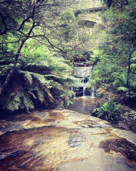 Highland Cottage - Accommodation Melbourne 2