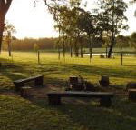 Wallaby Cottage cute Accom in bushland setting - Accommodation Melbourne