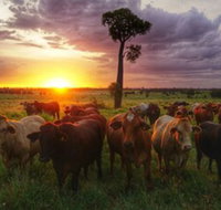 Myella Farm Stay - Accommodation Melbourne