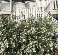 Glen Aplin Gardens BB - Accommodation Melbourne