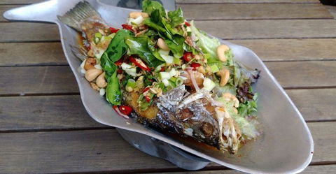Paladarr - Accommodation Melbourne 8
