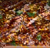 Pizza D'oh - Accommodation Melbourne