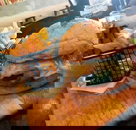 Degani - Accommodation Melbourne