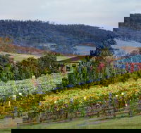 De Bortoli Winery  Restaurant - Accommodation Melbourne