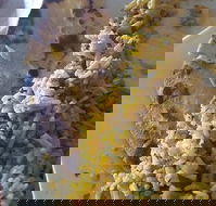 Horsham Masala Indian Restaurant - Accommodation Melbourne