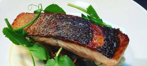 The Shaggy Cow - Accommodation Melbourne 0