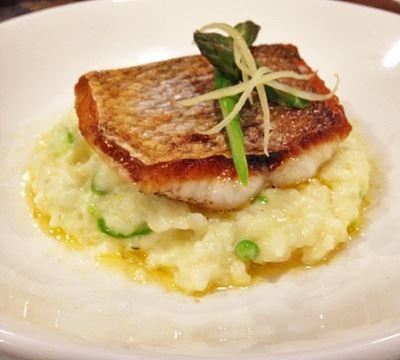 The Shaggy Cow - Accommodation Melbourne 13