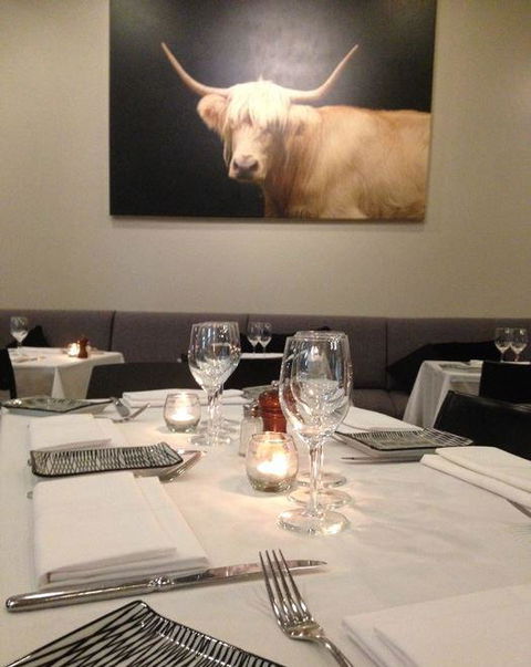 The Shaggy Cow - Accommodation Melbourne 15