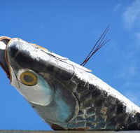 Fish Creek Hotel Motel - Accommodation Melbourne