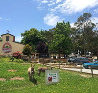 Sherwood Park Orchard Bakery Cafe - Accommodation Melbourne