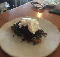 Sonny - Accommodation Melbourne