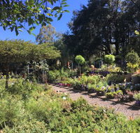 Yatte Yattah Nursery  Cafe - Accommodation Melbourne