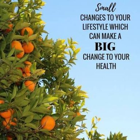 Nelson Bay Health Foods - Accommodation Melbourne 0