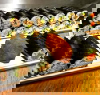 Freewave Sushi  Burgers - Accommodation Melbourne