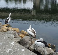 Saltwater Seafoods - Accommodation Melbourne