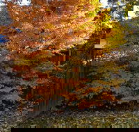 Stella Kitchen Chinese Take Away - Accommodation Melbourne