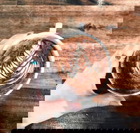 The Anchor Coffee House - Accommodation Melbourne