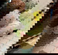 The Natural Waffle Ice Cream Parlour - Accommodation Melbourne